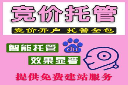 SEM代理案例：揭秘成功背后的秘密